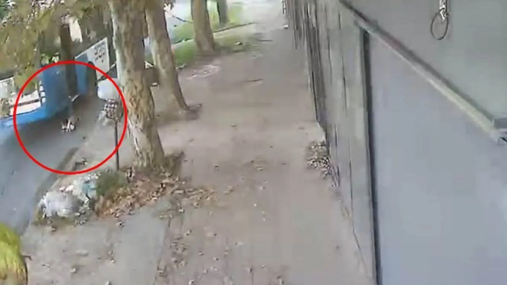 Un niño fue arrastrado por un colectivo