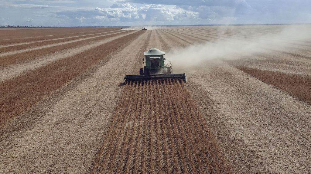Molinos Agro duplicó sus ingresos netos en un año fiscal excepcional