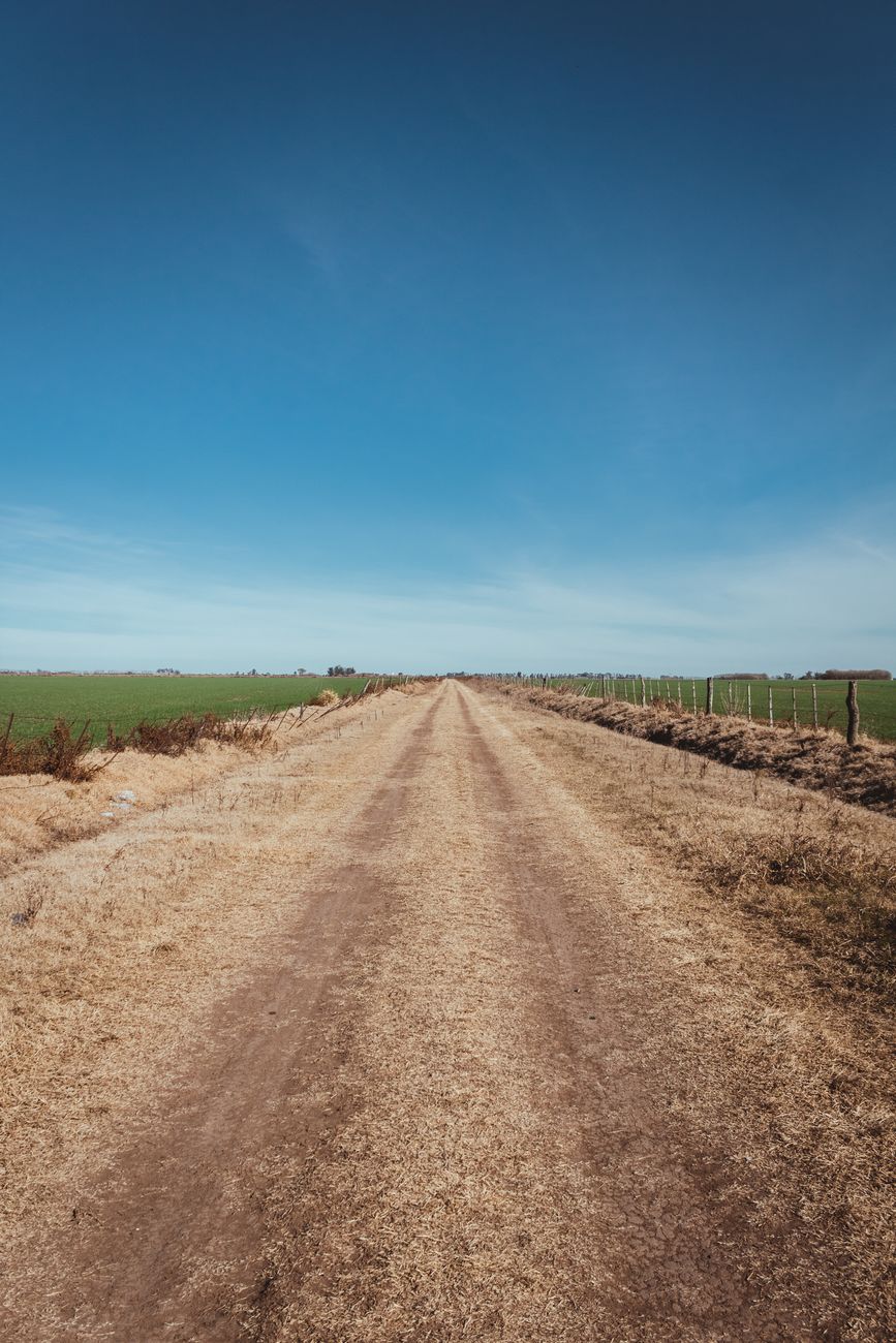 Galería: el paso de Milei por la Exposición Rural en imágenes
