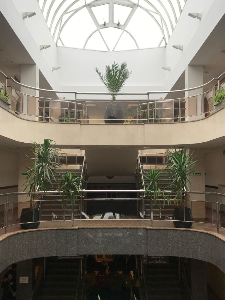 Hospitales con plantas: el cambio que calma a los&nbsp;pacientes