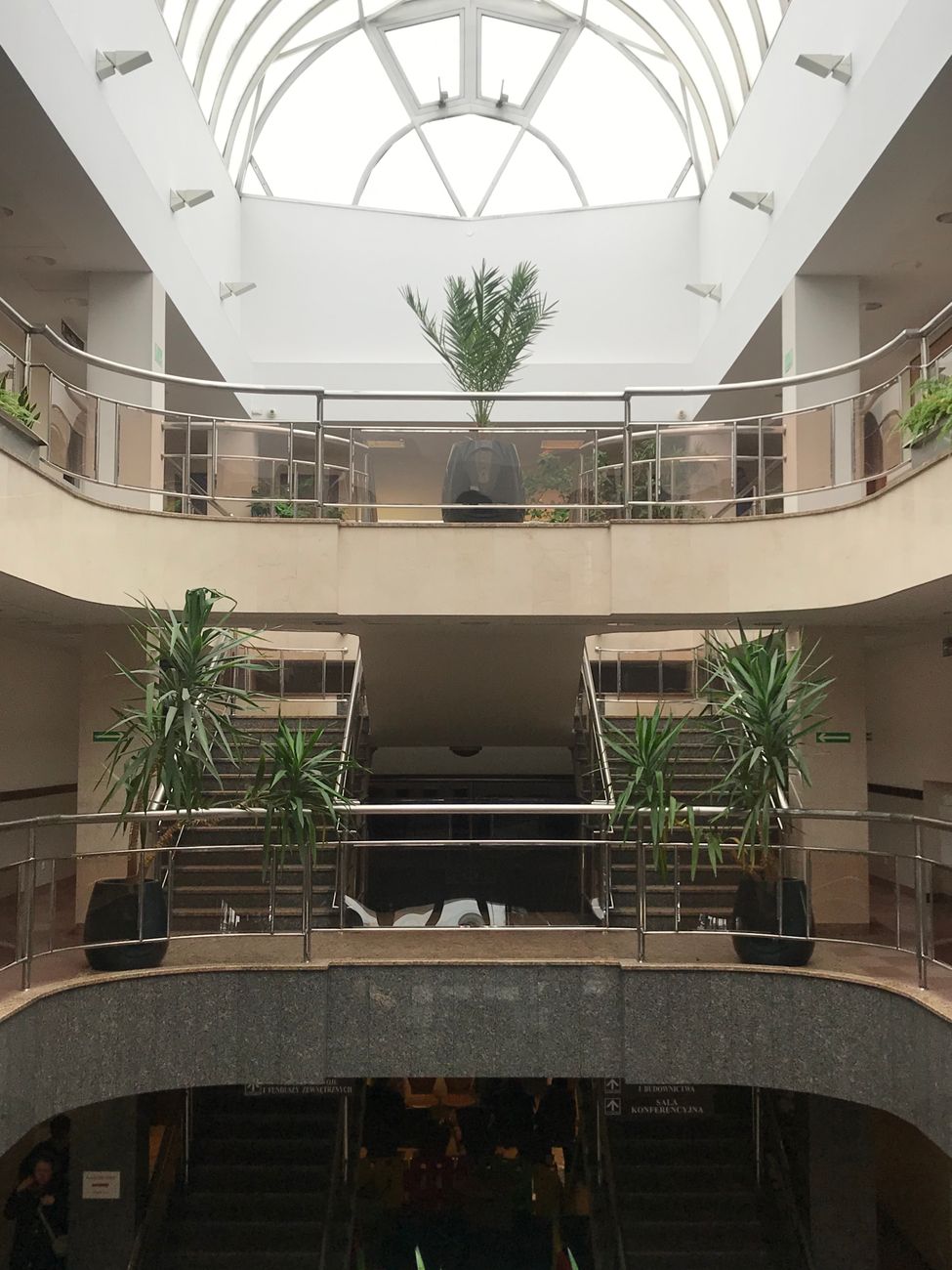 Hospitales con plantas: el cambio que calma a los&nbsp;pacientes